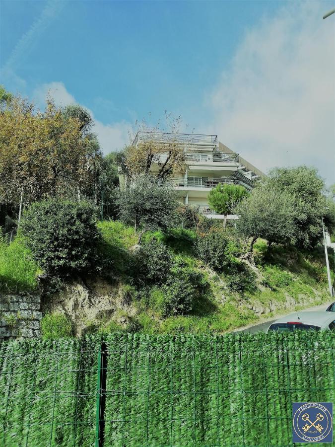 Nice View Jolie Studio Avec Jardin المظهر الخارجي الصورة